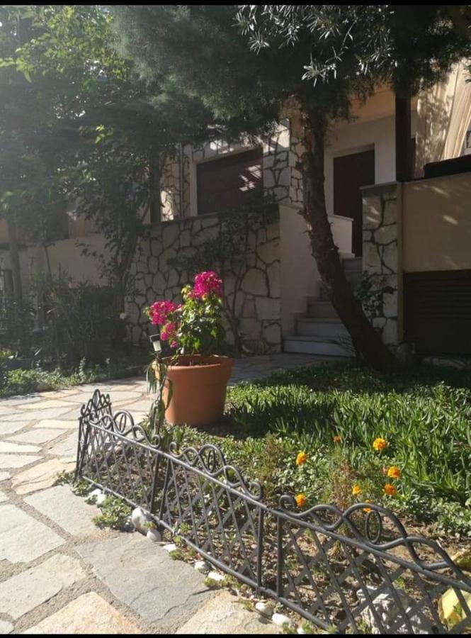 Papadopoulos Houses Nikiti  Exteriör bild